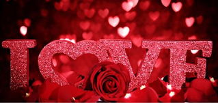 玫瑰之约 爱在罗纳河谷