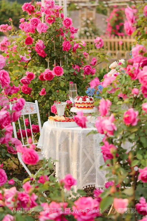 5.28 玫瑰之约 开启优雅的夏天，初夏限定玫瑰沙龙