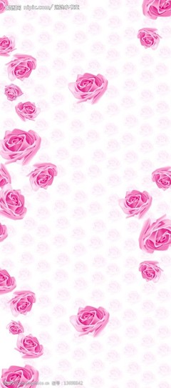 玫瑰之约 光影定格下的永恒浪漫