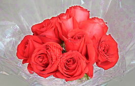 玫瑰之约 包头众锐4S店浪漫之旅即将甜蜜启程