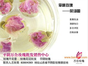 玫瑰之约 专业批发玫瑰花茶，品质与价格的双重承诺