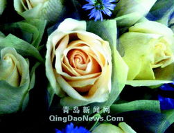 6.6吨鲜花赴约 情人节玫瑰空运入青，开启浪漫之约