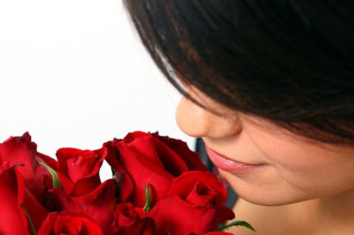 玫瑰之约 从爱情信物到人生承诺的深层含义