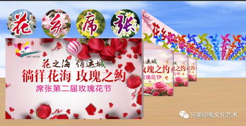 徜徉花海，玫瑰之约 席张乡第二届玫瑰花节盛大启幕